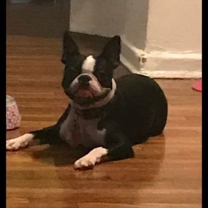 Meet your Posher, Elizabeth